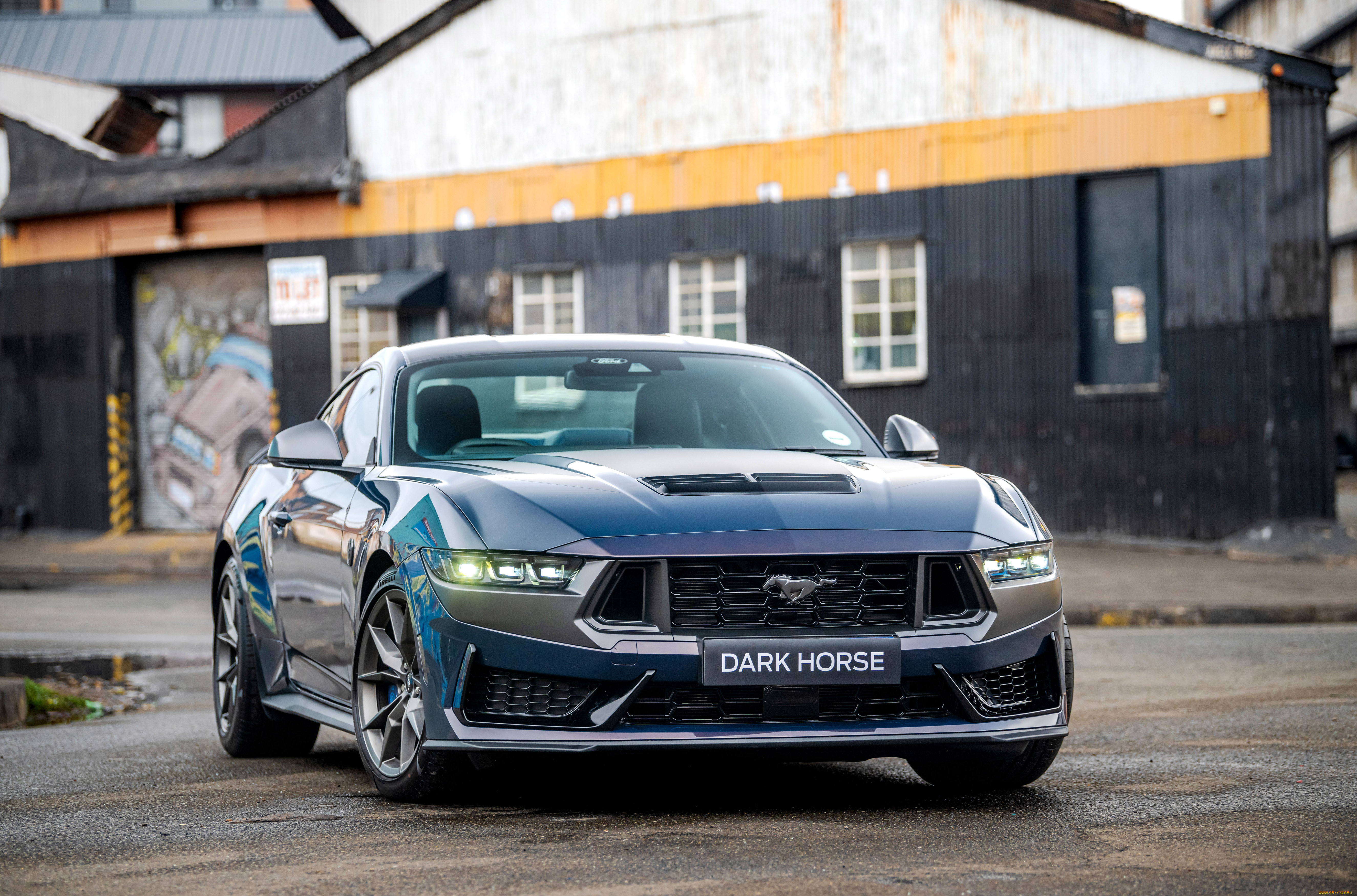, mustang